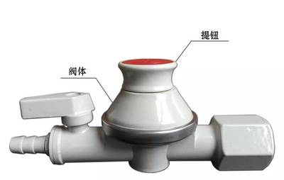 西安維斯達銷售總監趙小盈談智能燃氣表的科技創新_科技_網