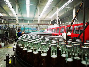 華中最大啤酒廠或建啤酒博物館